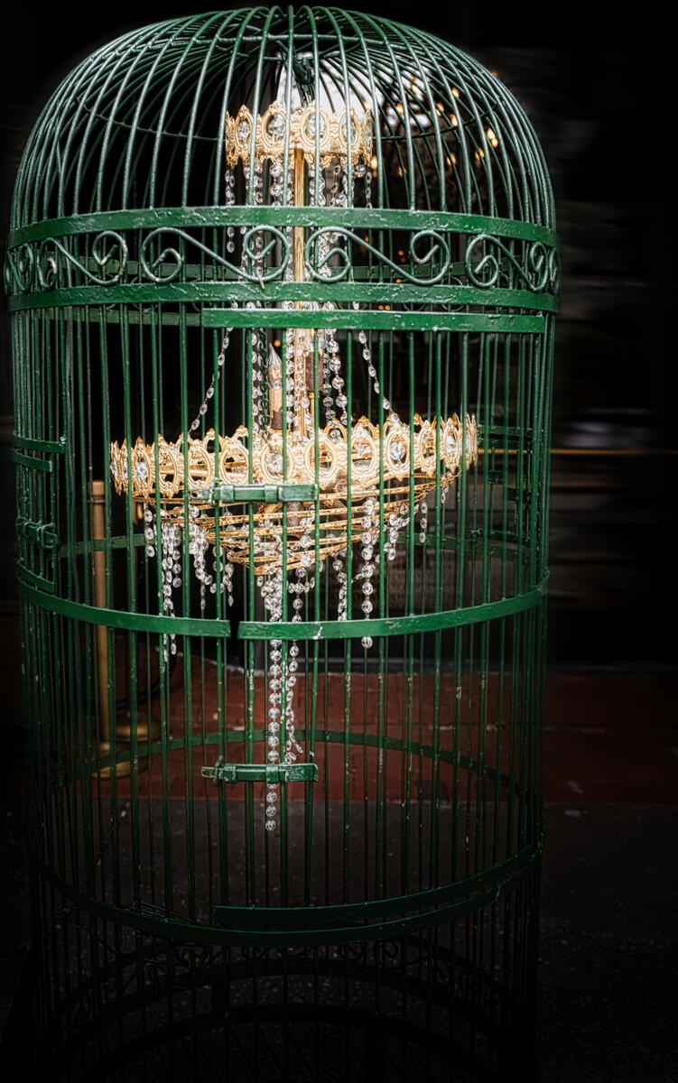 Fort Myers, Florida. February, 2025. Fujifilm x100f.