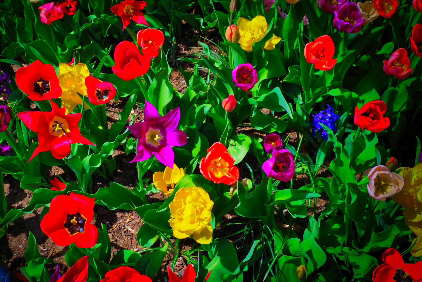 Denver, Colorado. April, 2025. Fujifilm x100f.