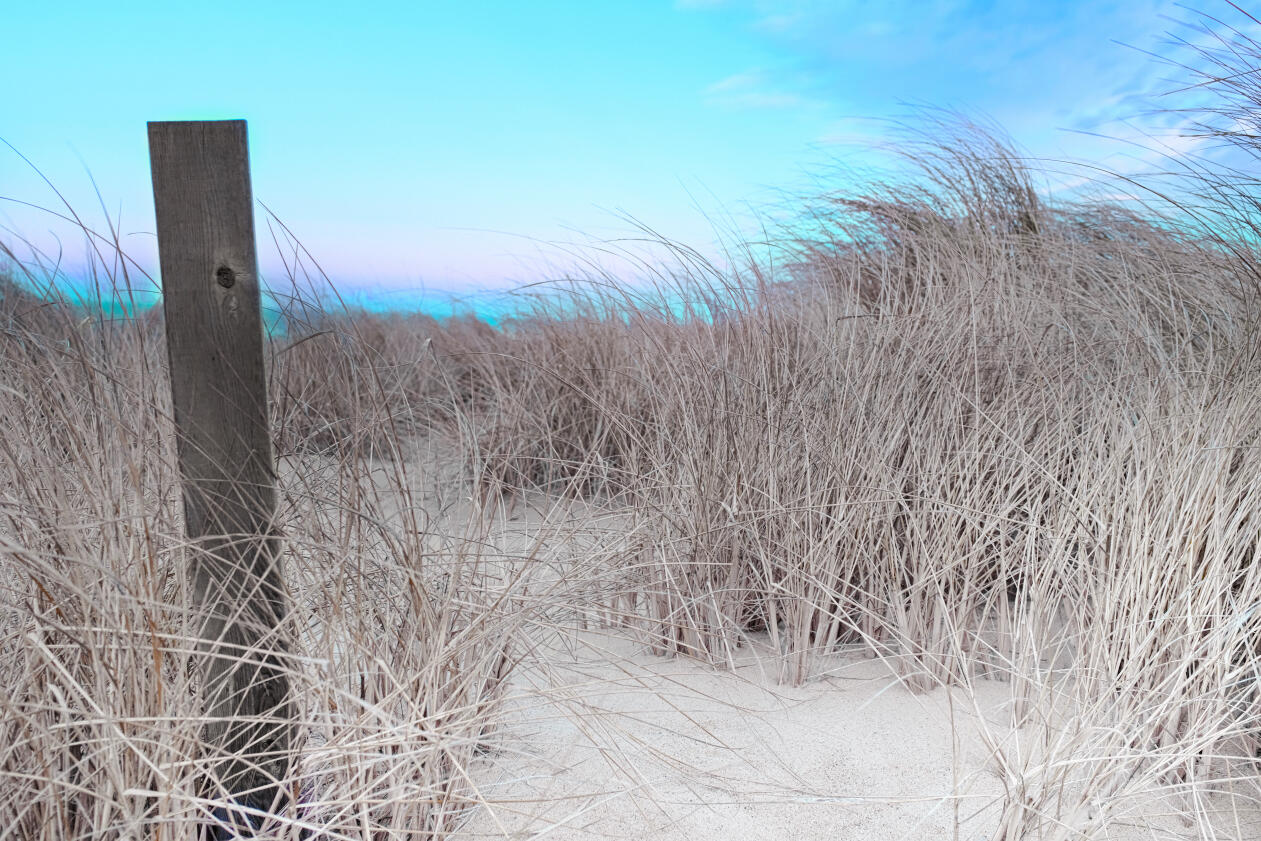 Provincetown, Massachusetts. February 2023. Fujfilm x100f.
