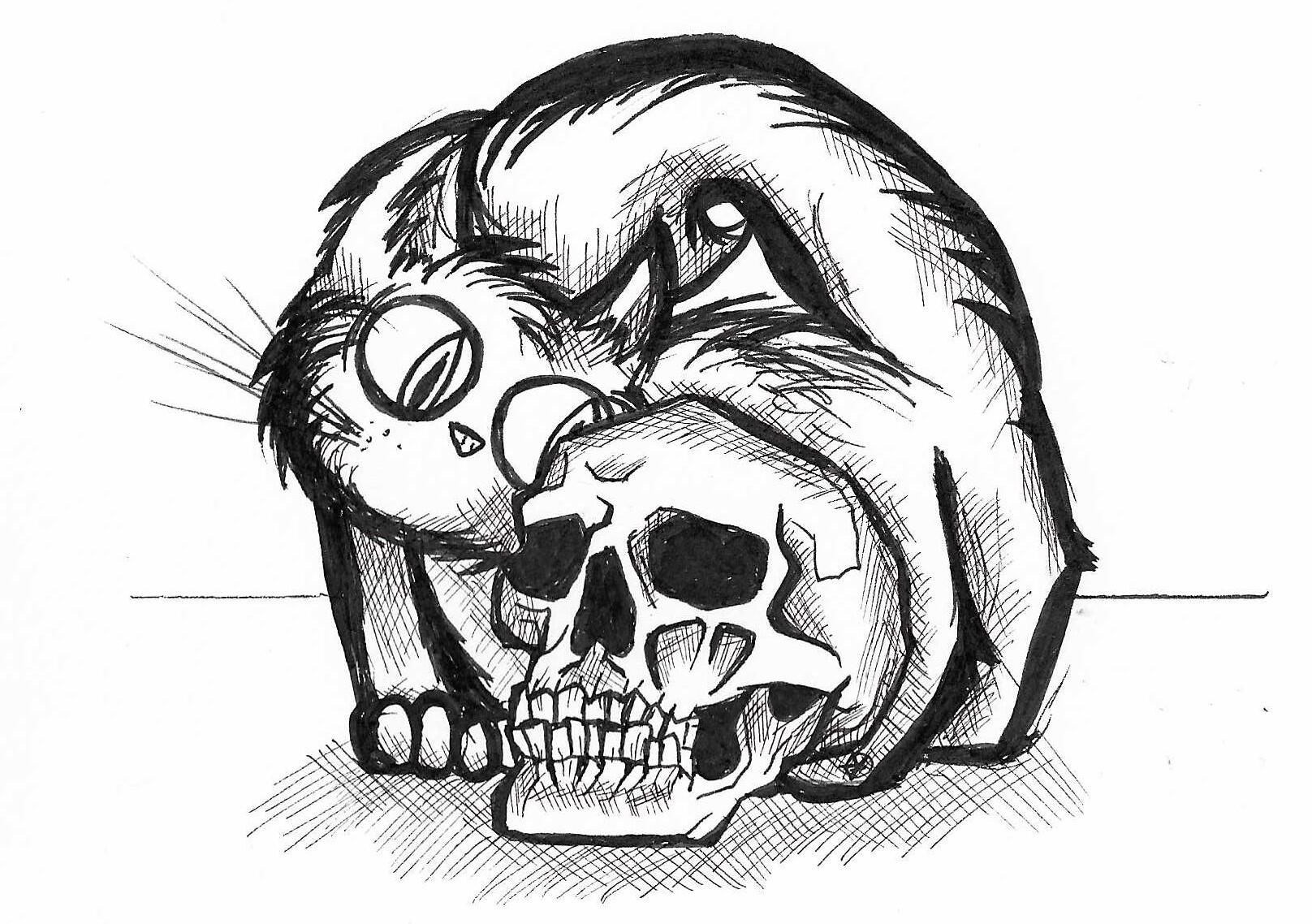 Sakura Pigma Micron ink on paper. Denver, Colorado. April 2025.