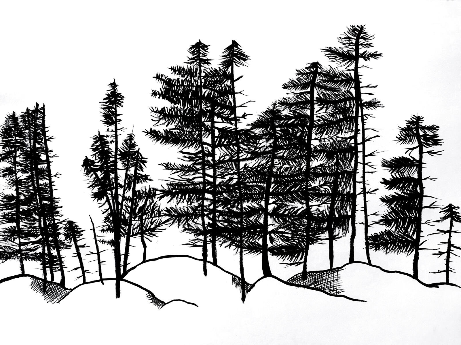 Watercolor brush on paper. Salem, Massachusetts. Ca. 2018.